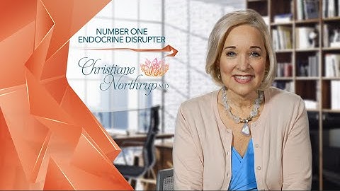 Number 1 Endocrine Disruptor