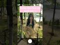 Lưu ngay cách chụp ngoài trời này lại nha các mom 🫦 #shortvideos #chuphinh #glowup #tutorials