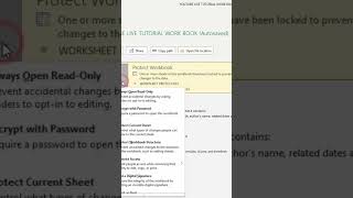 Prevent unauthorized Access to Excel Workbook #SecureWorkbook #excel #shorts #viral