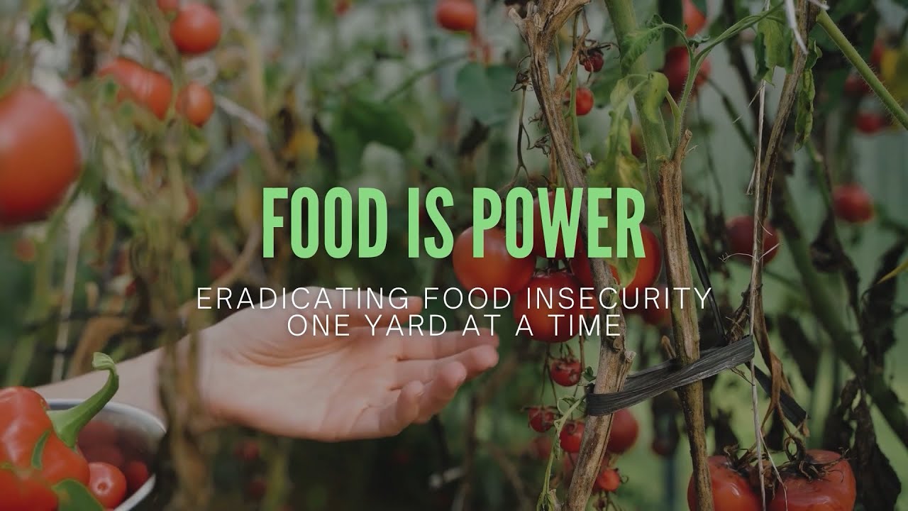 Food is Power: Eradicating Food Insecurity One Yard at a Time