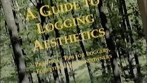 A Guide to Logging Aesthetics