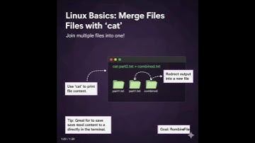 day 7 cat command #linuxcommandlinetutorial #learnlinux #linuxcourse