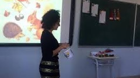 Ucqar kənddə müəllimə işləyən Zeynəb xanım nələrdən narazıdır