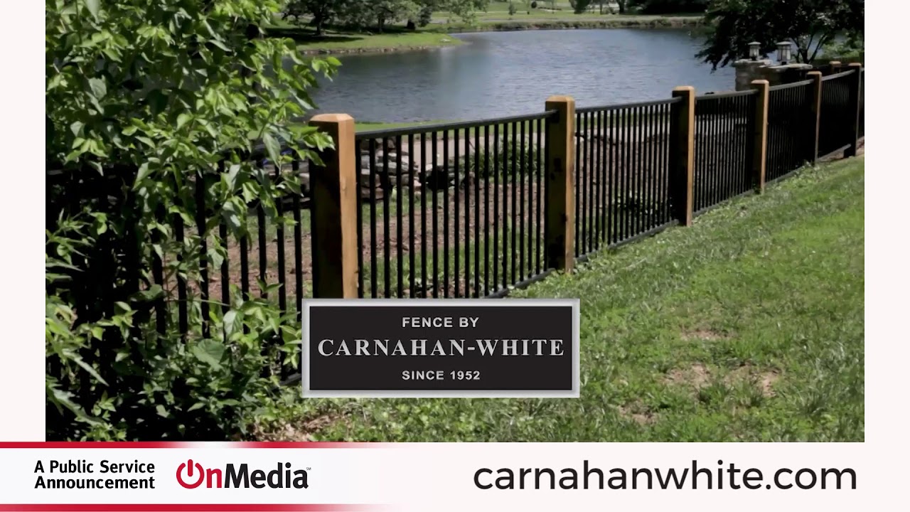 Covid Springfield Carnahan White YouTube
