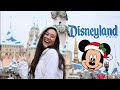 Pasé Navidad en Disneyland 🎄