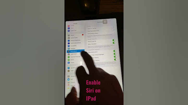 How to Enable Siri on iPad 2022