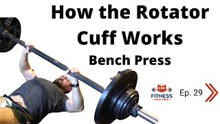 How the Rotator Cuff Works During Bench Press | Supraspinatus, Infraspinatus, Subscapularis FPF E:29
