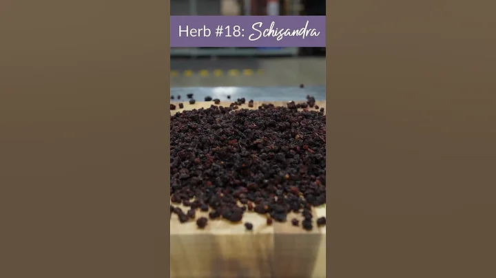 Herb# 19: Schisandra (23 Herbs to Try in 2023)