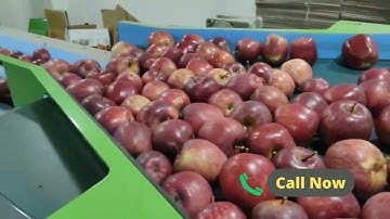 Two 2 Lane Apple Colour Size and Weight Sorting Machine In Kalbog Shimla - 99920-99970