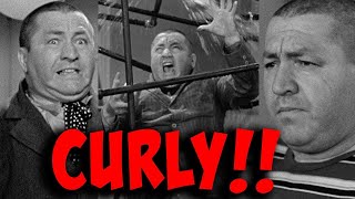 The THREE STOOGES Film Festival  Over THREE HOURS of CURLY!!