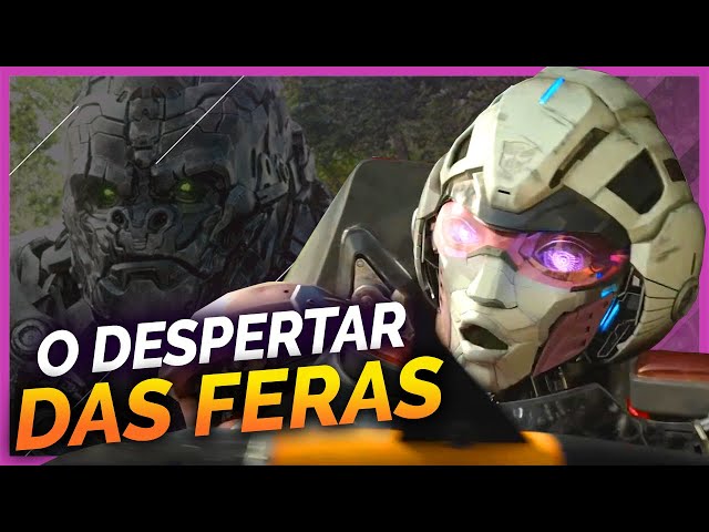 Transformers: O Despertar das Feras” apresenta elenco diversificado - ISTOÉ  Independente