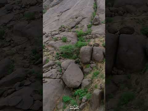 ياعاذلي ريح ضميرك