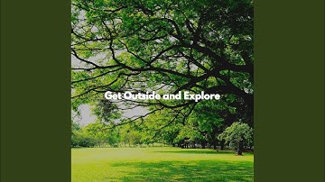 Beautiful Moods for Thoughtful Vibes