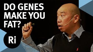 Do Your Genes Make You Fat?  with Giles Yeo