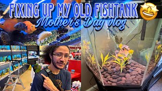 I Renovated my old fish tank! 🤯|  Going to Petco + Mother’s Day Vlog