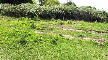 Ansmann Virus 2.0 Brushless Bashing (HD)