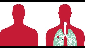 Pandemic Simulation Clip Compilation