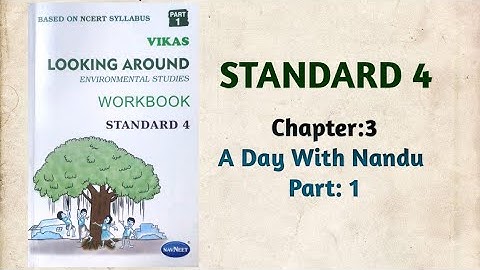 Std-4 EVS | Ch:3 A Day With Nandu | Part 1 | Vikas Workbook Solution | Looking Around | Ncert