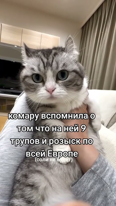 #комару - YouTube