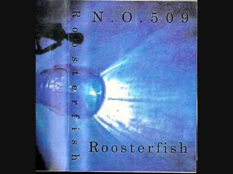 N.O.509 Cover Me