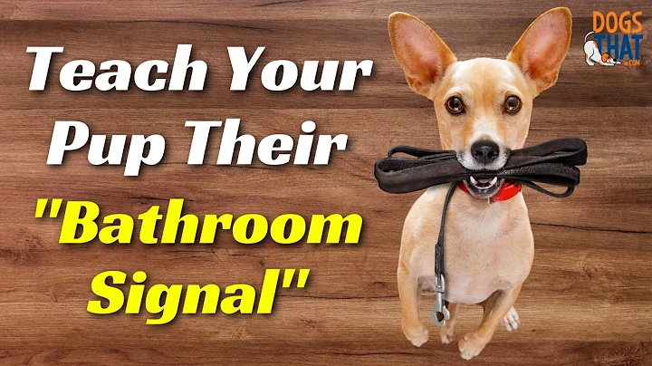 🐾How To Teach Your Puppy To Tell You They Need To Go Outside To Potty Housetraining Tip🐾