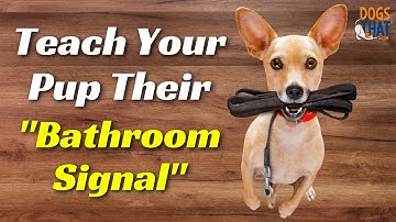 🐾How To Teach Your Puppy To Tell You They Need To Go Outside To Potty Housetraining Tip🐾