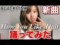 【ブラックピンク】新曲を全力で踊ってみた!『How You Like That』