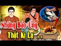 Chuyn nhn qu 2024 v nhng bo ng k l khng nghe ung lm  lut nhn qu khng b st 1 ai