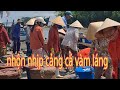 Nhộn nhịp cảng cá vàm láng gò công