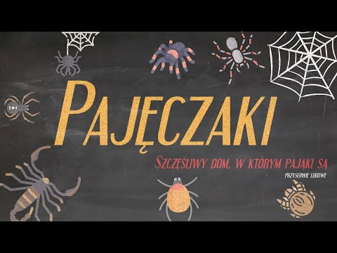 Pajęczaki z lekką domieszką wijów - pająki, kosarze, skorpiony, roztocze i inne stawonogi