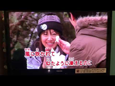 粉雪/レミオロメン【カラオケ】