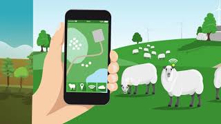 What is IoT and what does it mean for farmers?