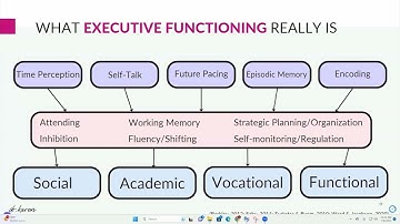 What is Executive Functioning? (Describing Internal Mental Processes)