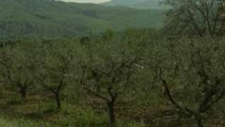 IN BASILICATA L'AGRICOLTURA E' BIO