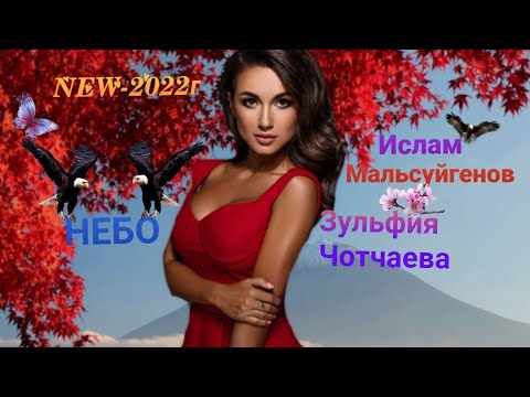 Ислам мальсуйгенов и зульфия. Зульфия чотчаева и ислам мальсуйгенов люби. Ислам мальсуйгеновзульфия чотчаева. Зульфия чотчаева и ислам. Мальсуйгенов и чотчаева две судьбы.