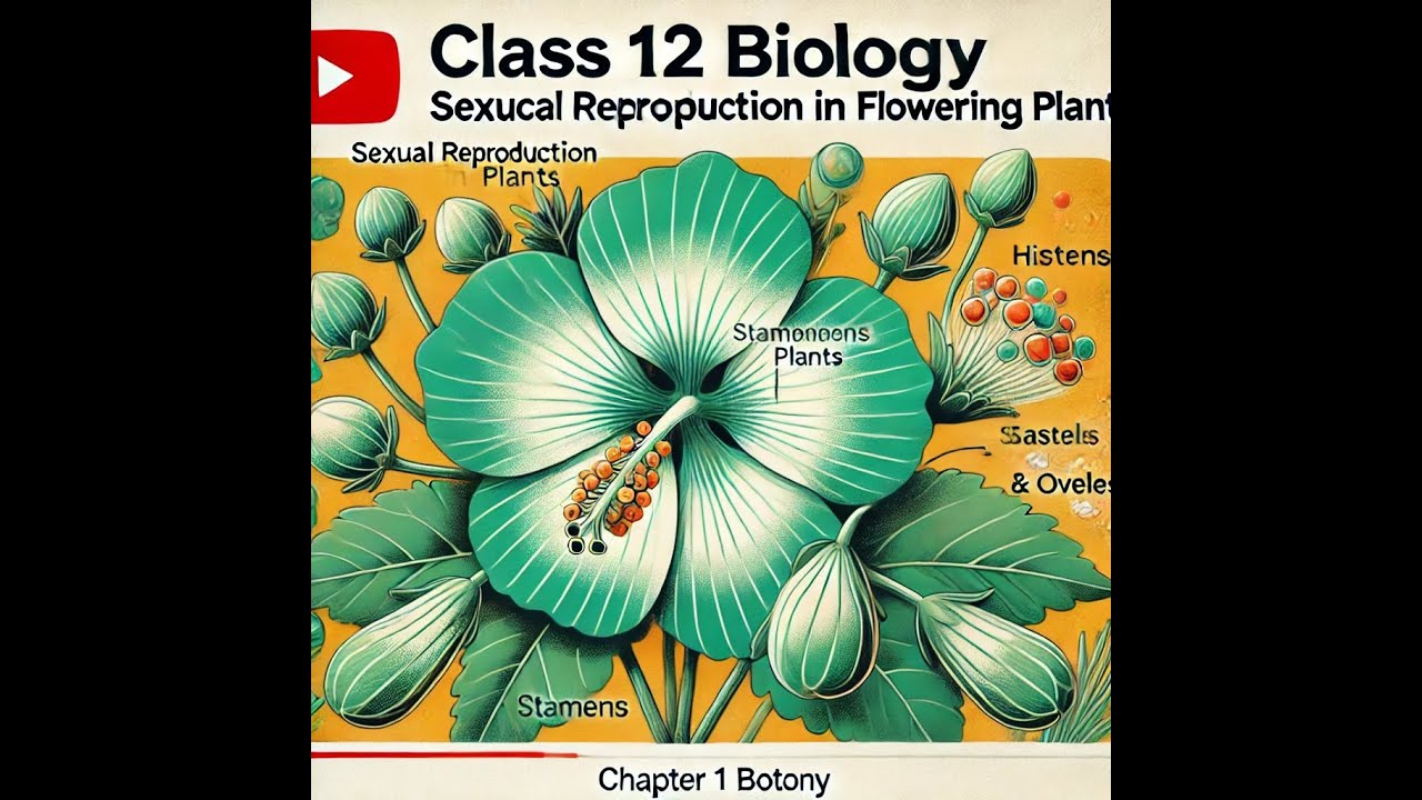 Class 12 Biology Chapter 1 | Sexual Reproduction in Flowering Plants ...