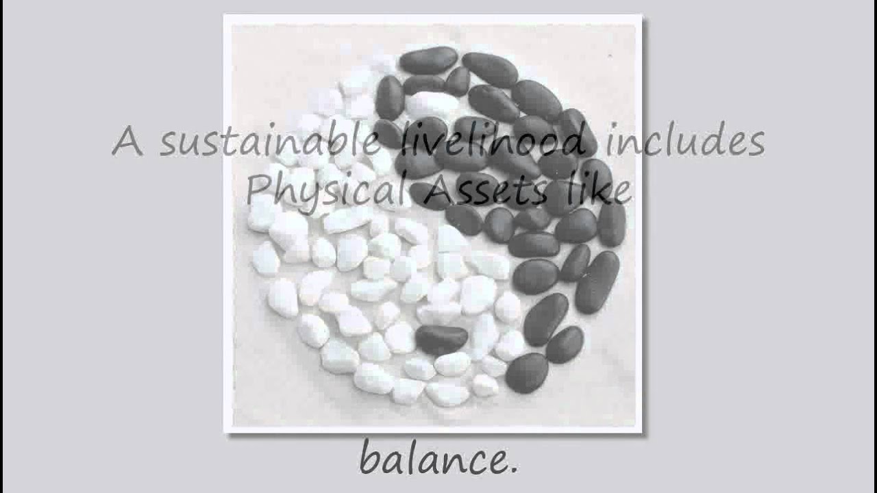 Elements of a Sustainable Livelihood