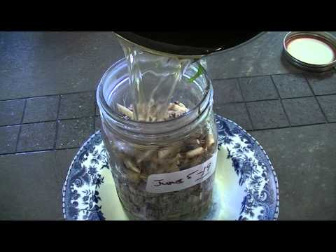 Dandelion Vinegar Salad Dressing