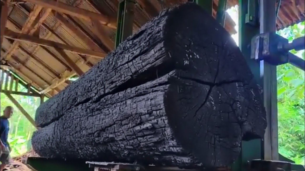 The mysterious stump sawing process that produces the most beautiful grain