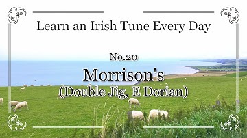 020 Morrison