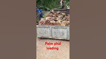 palm phal loading #shorts video #viral video #tending #youtube