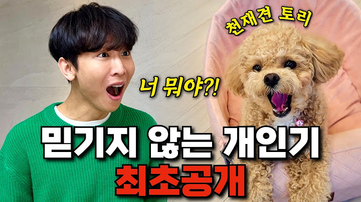 이건 비밀이긴 한데.. 천재견 토리 개인기 비법 최초공개