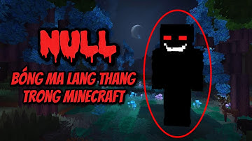 Bí ẩn về Null, bóng ma lang thang trong Minecraft