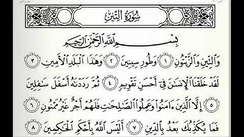 سوره التين بصوت الشيخ خالد الجليل