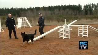 Pierce County News 2-21-13
