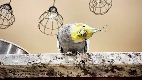 What are you looking at?
