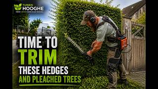 Time to Trim These Hedges and Pleached Trees