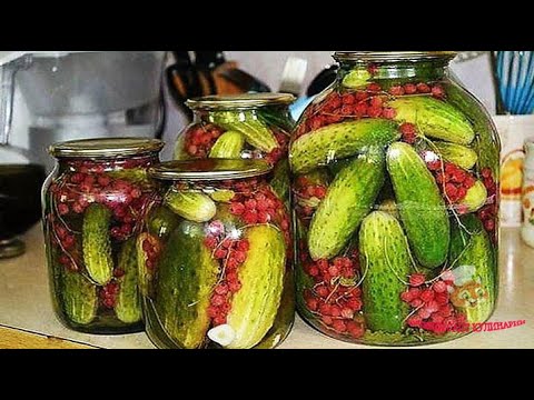 Огурцы 🥒с красной смородиной🌹 на зиму - вкусная, натуральная заготовка!