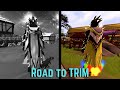 From MAX CAPE To TRIM COMP Full Series From MAX CAPE To TRIM COMP Full Series