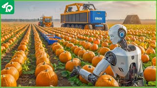 🎃 Modern Agriculture Machines Harvest 6.8 Million Tons of Pumpkins This Way